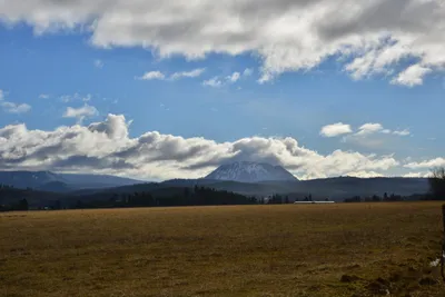 DSC_5880 (Large).JPG